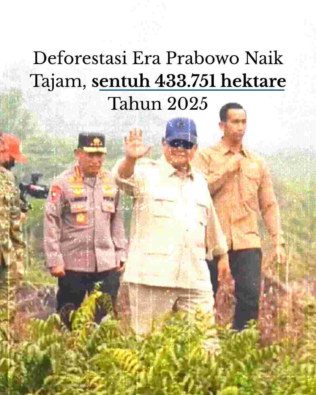 Setelah Kalimantan, Prabowo akan Bakar Papua